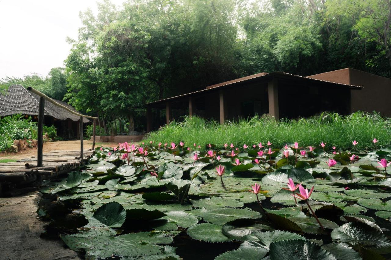 Hampi'S Whiskers Resort Экстерьер фото